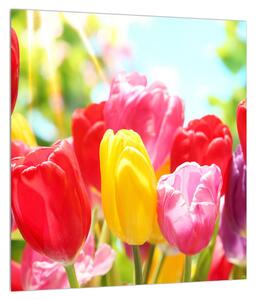 Slika tulipana (30x30 cm)
