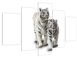 Slika bijelog tigra (150x105 cm)