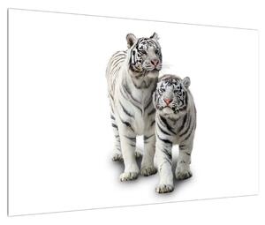 Slika bijelog tigra (90x60 cm)