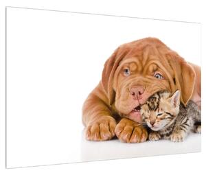 Slika psa s mačićem (90x60 cm)