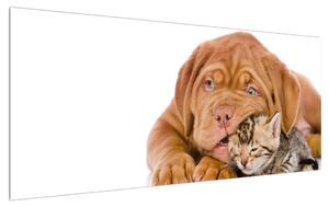 Slika psa s mačićem (120x50 cm)