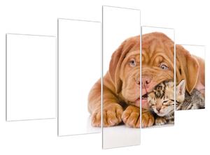 Slika psa s mačićem (150x105 cm)