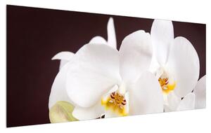 Slika cvijeća orhideje (120x50 cm)
