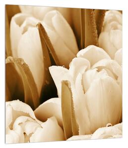 Slika tulipana (30x30 cm)