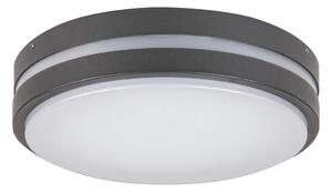 Rabalux 8848 - LED Vanjska zidna svjetiljka HAMBURG LED/12W/230V IP44