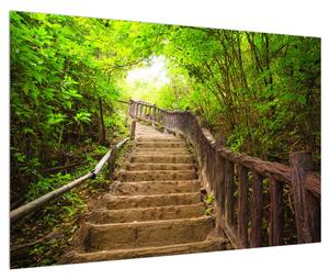 Slika stepenica koje vode krajolikom (90x60 cm)
