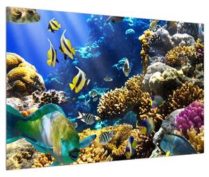 Slika podvodnog svijeta (90x60 cm)