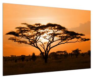 Slika afričke savane (90x60 cm)