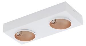 Eglo 39374 - LED Stropna svjetiljka RONZANO 2xLED/3,3W/230V