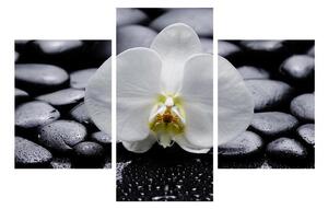 Slika orhideje (90x60 cm)