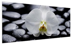 Slika orhideje (120x50 cm)