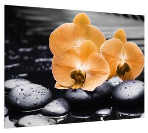 Slika orhideje (70x50 cm)