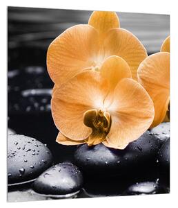 Slika orhideje (30x30 cm)
