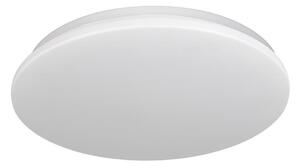 LED Stropna svjetiljka za kupaonicu ADAR LED/13W/230V IP44 4000K
