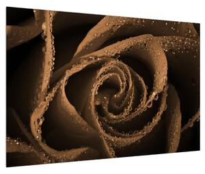 Slika ruže s kapljicama (90x60 cm)