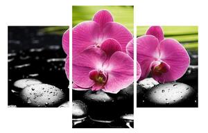 Slika cvijetova orhideje (90x60 cm)