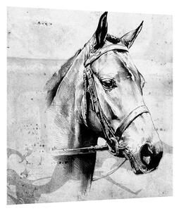 Slika - portret konja (30x30 cm)