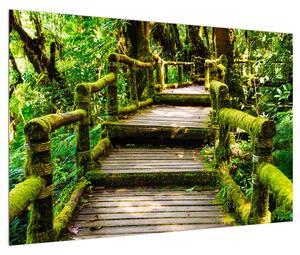 Slika stepenica koje vode kroz krajolik (90x60 cm)