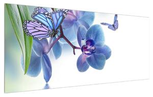 Slika leptira na cvjetovima orhideja (120x50 cm)