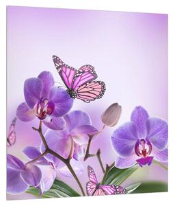 Slika leptira na cvjetovima orhideja (30x30 cm)