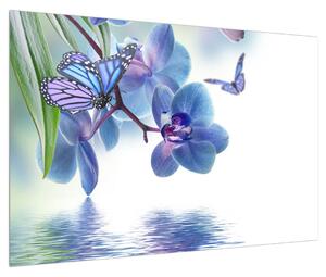 Slika leptira na cvjetovima orhideja (90x60 cm)