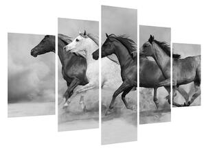Crno-bijela slika konja (150x105 cm)