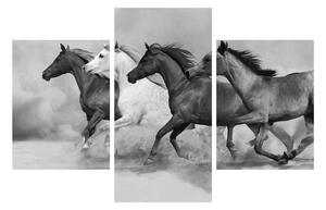 Crno-bijela slika konja (90x60 cm)
