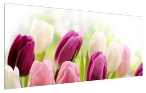 Slika pupajućih tulipana (120x50 cm)
