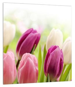 Slika pupajućih tulipana (30x30 cm)
