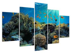 Slika podvodnog svijeta (150x105 cm)