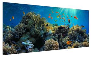 Slika podvodnog svijeta (120x50 cm)