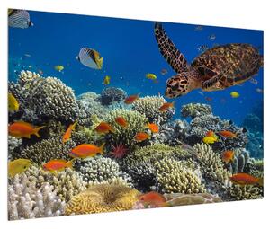 Slika podvodnog svijeta (90x60 cm)