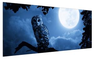 Slika noćne sove (120x50 cm)