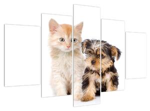 Slika - mačić i štene (150x105 cm)