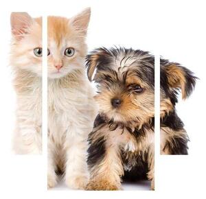 Slika - mačić i štene (90x60 cm)