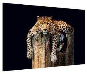 Slika geparda (90x60 cm)