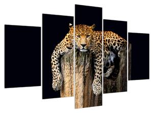 Slika geparda (150x105 cm)
