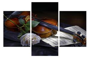 Slika ruže i violine (90x60 cm)
