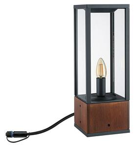 Paulmann Plug & Shine Vanjska LED svjetiljka Venea (2 W, IP44, Crna, smeđa)