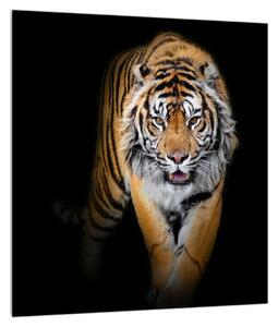 Slika tigra (30x30 cm)