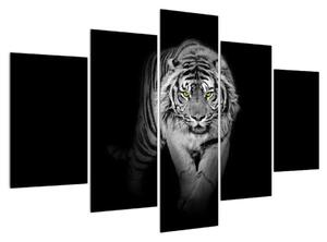 Crno-bijela slika tigra (150x105 cm)