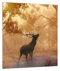 Slika rika jelena (30x30 cm)