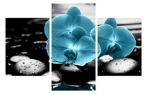 Slika plavih cvjetova orhideja (90x60 cm)