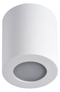 Stropna svjetiljka za kupaonicu SANI 1xGU10/10W/230V IP44 bijela