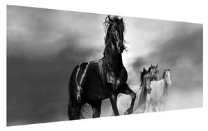 Slika konja (120x50 cm)