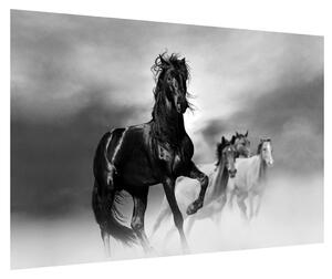 Slika konja (90x60 cm)