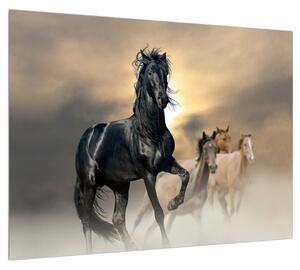 Slika konja (70x50 cm)