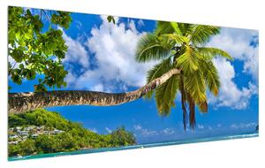 Slika palme i plaže (120x50 cm)