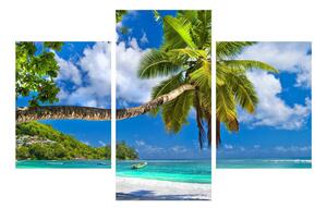 Slika palme i plaže (90x60 cm)