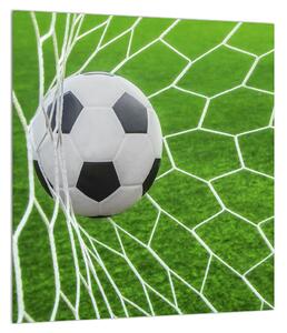 Slika nogometne lopte u mreži (30x30 cm)